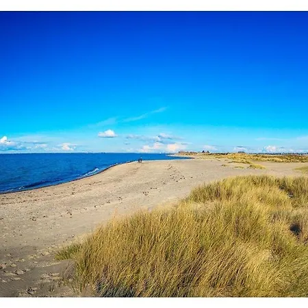 Reethus Sun Dune Daire *